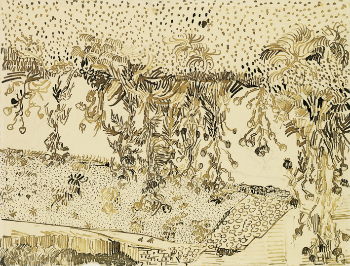  文森特·威廉·梵高  Vincent Willen Van Gogh —— 树 (9)